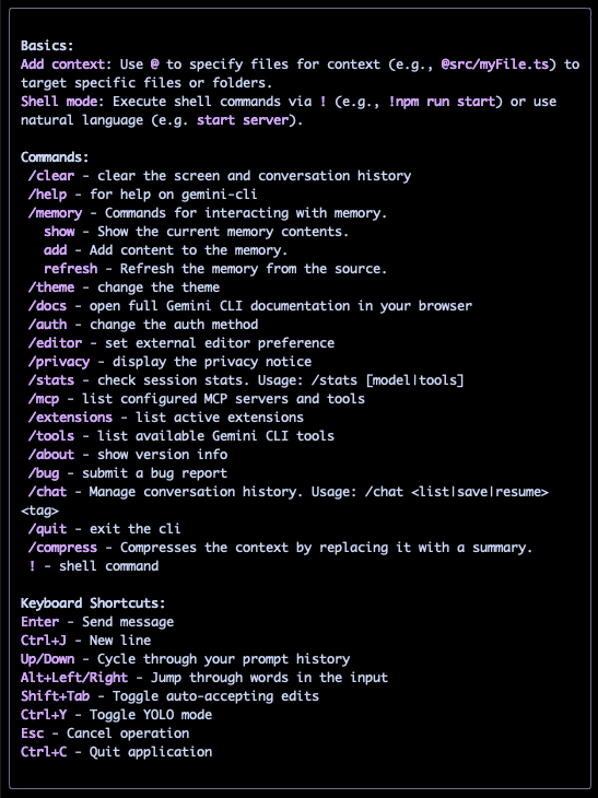 Gemini CLI 02