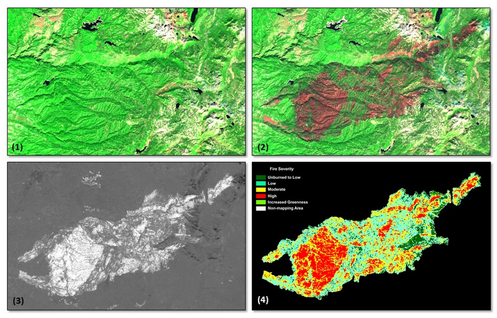 1 U.S. Forest Service.jpg