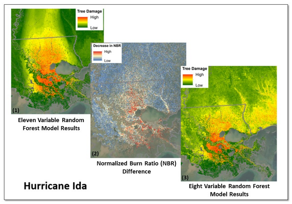 2 U.S. Forest Service.jpg