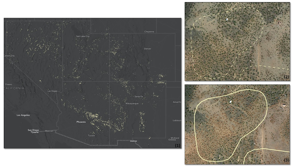 3 U.S. Forest Service.jpg