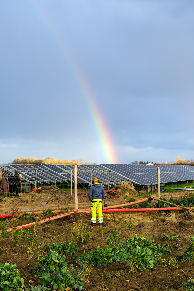 Rødby Fjord solar project.jpg